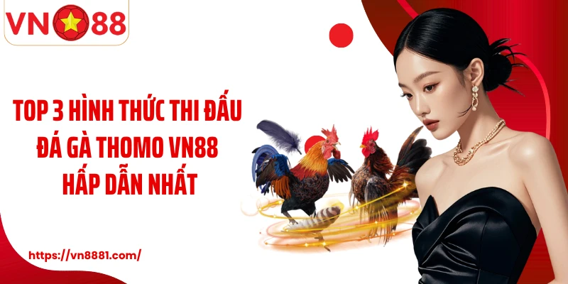 Top 3 hình thức thi đấu đá gà Thomo VN88 hấp dẫn nhất