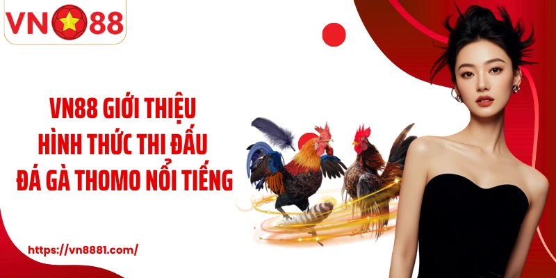 VN88 giới thiệu hình thức thi đấu đá gà Thomo nổi tiếng